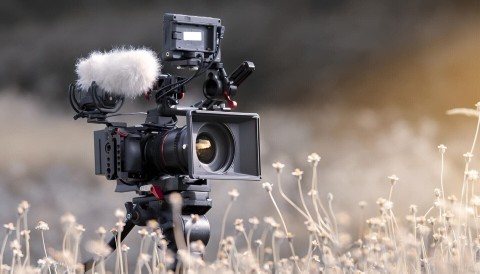 EnergaCAMERIMAGE 2023 - 31. Edycja Międzynarodowego Festiwalu Sztuki Autorów Zdjęć Filmowych - Program