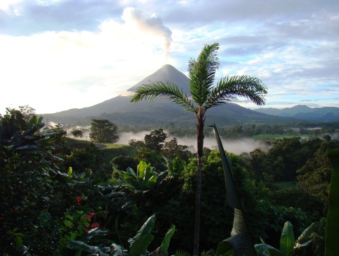 Dzika Kostaryka - prawdziwy raj (2016) - Film