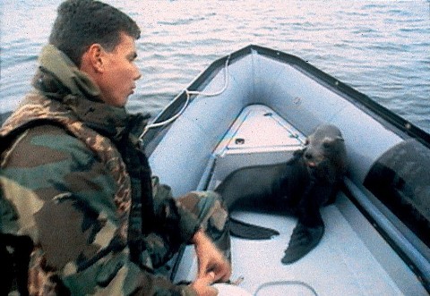 Żołnierze morskich głębin (1997) - Film