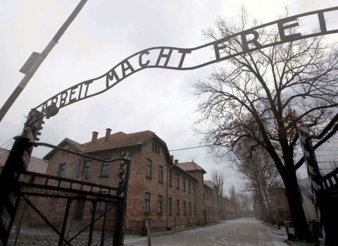 Ucieczki z Auschwitz - Program