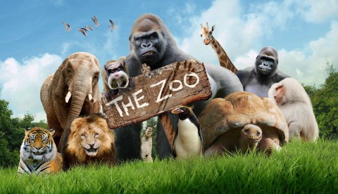 Zoo - Serial