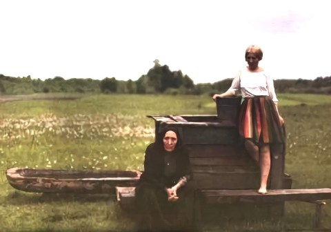 Brzezina (1970) - Film