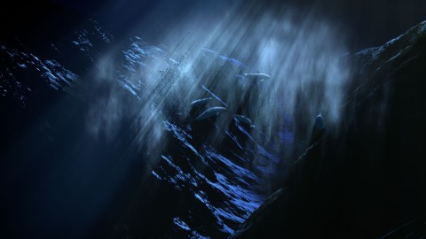 Światło na dnie oceanu (2012) - Film