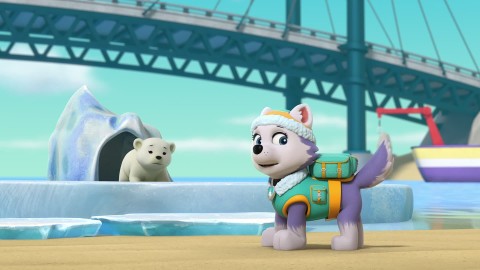 Pieski ratują małą polarną niedźwiedzicę / Pieski ratują kino letnie