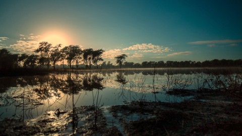 Gorongosa: odzyskać raj (2021) - Film