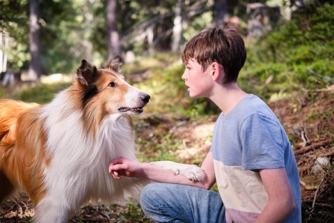 Lassie. Nowe przygody (2023) - Film