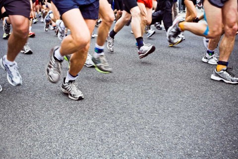 Maraton: Maraton we Frankfurcie - Program