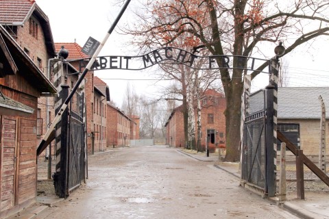 Auschwitz - czekając na wyzwolenie - Program