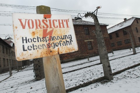 Auschwitz: Podróż do piekła - Serial