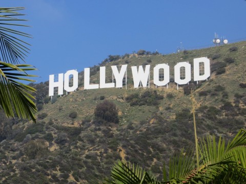 Hollywood Buzz - Program