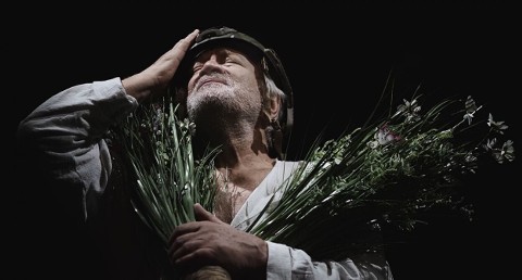 Lear