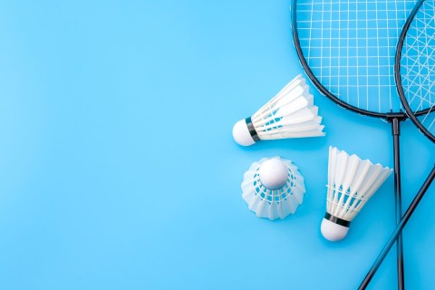 Badminton: Indonesia Open - Program