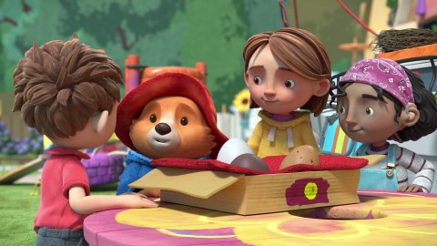 Paddington i jajko z niespodzianką / Paddington drużbą