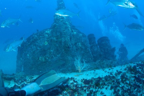 Podwodny cmentarz