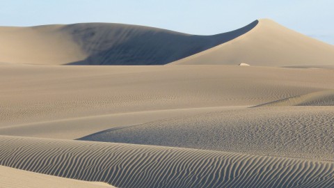 Sahara - odzyskać stracone ziemie