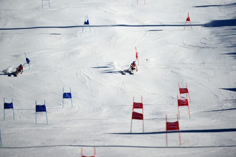 Narciarstwo alpejskie: Puchar Świata kobiet w Lech/Zürs - Program