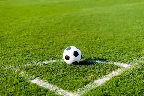 Piłka nożna: Liga Mistrzów UEFA - Program