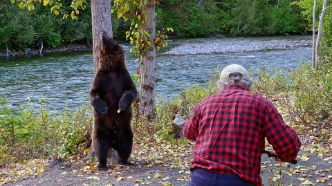 Spotkania z niedźwiedziem grizzly (2021) - Film
