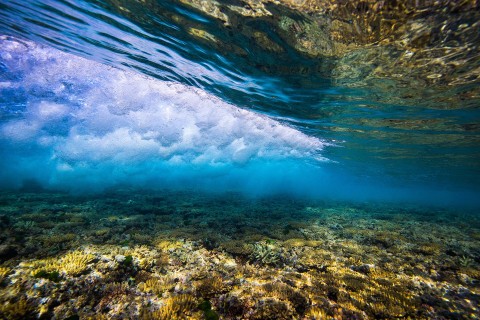 Wielka Rafa Koralowa: żywy skarb - Serial