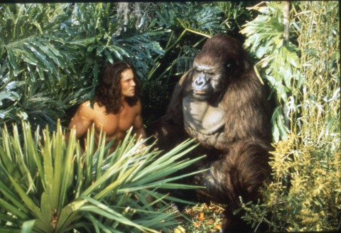 Nowe przygody Tarzana - Serial