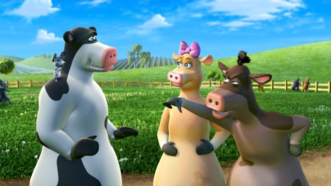 Krowy na wypasie (2006) - Film