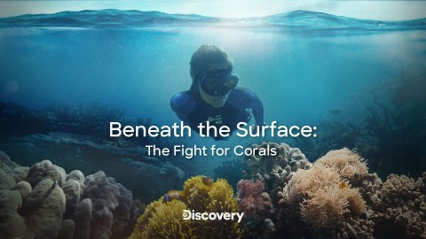 Rafa koralowa - skarb naszej planety - Program