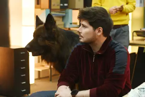 Przeklęty blok