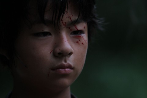 Ninja - wojownicy cienia (2011) - Film