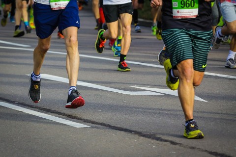 Maraton w Wiedniu - Program