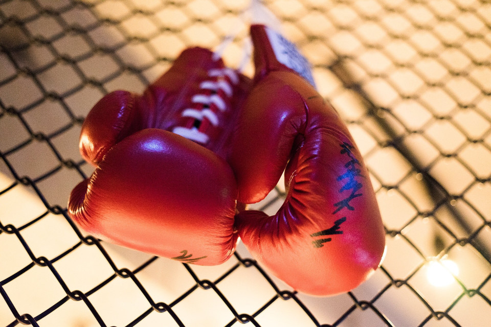 Boks: Polsat Boxing Promotions | Telemagazyn