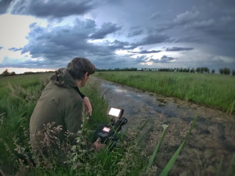 Przyroda w kraju wiatraków (2022) - Film