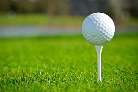 Golf: PGA Tour - Sentry Tournament of Champions - Program