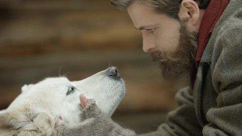 Jack London. Wielka przygoda (2016) - Film