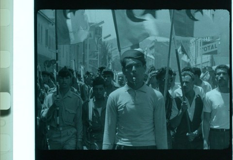Belgrad 1961. O lepsze jutro - Program