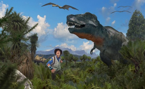Andy i dinozaury - Program